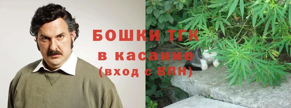 дживик Пересвет