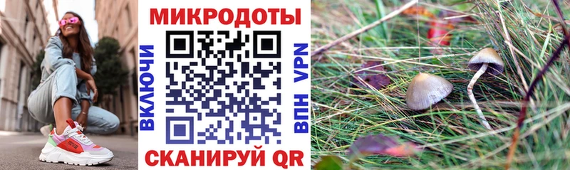 mega как зайти  где купить   Краснокамск  Псилоцибиновые грибы Magic Shrooms 