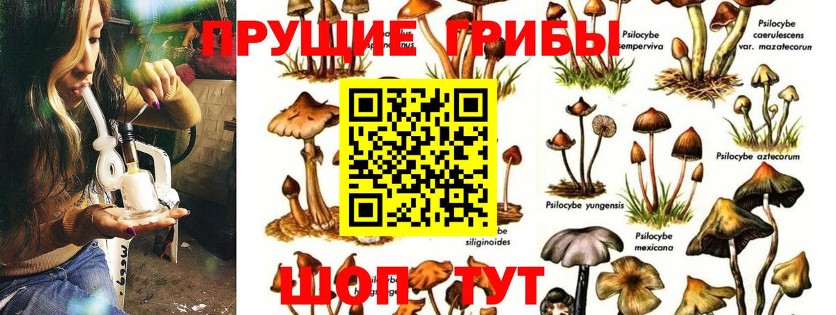 Псилоцибиновые грибы MAGIC MUSHROOMS Краснокамск